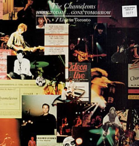 洋楽 THE CHAMELEONS The Chameleons | Spotify